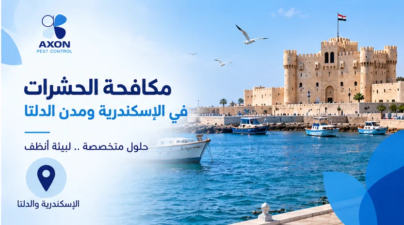 🌊 مكافحة الحشرات في الإسكندرية ومدن الدلتا: حلول متخصصة للمنازل والمنشآت
