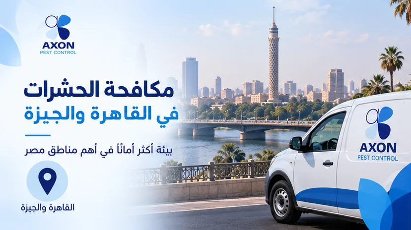 🏙️ مكافحة الحشرات في القاهرة والجيزة: دليل شامل لخدمات مكافحة الآفات في أهم المناطق