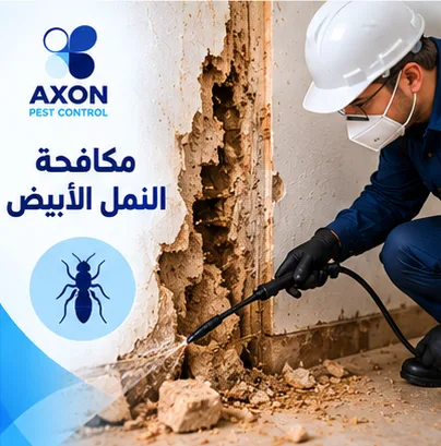 مكافحة النمل الأبيض